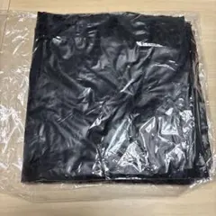 2026年最新】愛波あや 遮光の人気アイテム - メルカリ