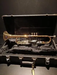 2026年最新】ジュピタートランペットの人気アイテム - メルカリ