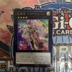 2026年最新】テラナイト アジアの人気アイテム - メルカリ