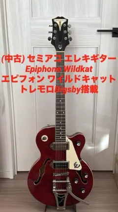 2026年最新】WILDKAT EPIPHONEの人気アイテム - メルカリ