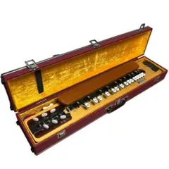 2026年最新】岡田流 大正琴の人気アイテム - メルカリ