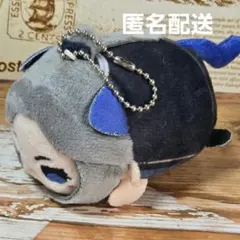 2026年最新】天官賜福 ぬいぐるみ 磁力賞の人気アイテム - メルカリ