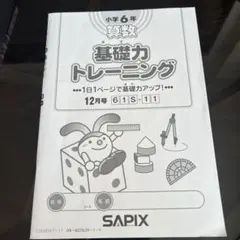 2026年最新】サピックス 基礎力トレーニング 6年の人気アイテム - メルカリ
