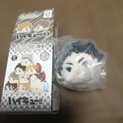 2026年最新】赤葦 もちマスの人気アイテム - メルカリ