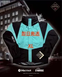 2026年最新】stabridge alpinist marmotの人気アイテム - メルカリ