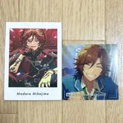 2026年最新】三毛縞斑カードの人気アイテム - メルカリ