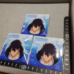 2026年最新】七瀬遙 缶バッジの人気アイテム - メルカリ