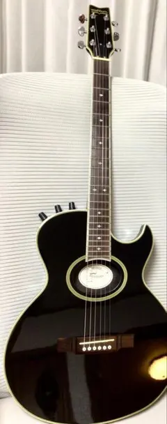 2026年最新】Washburn sbf-80の人気アイテム - メルカリ