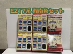 2026年最新】Bトレイン E217系の人気アイテム - メルカリ