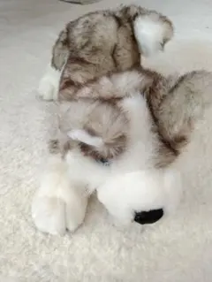 2026年最新】リアル ぬいぐるみ オオカミの人気アイテム - メルカリ