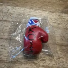 2026年最新】ボクシングサイン入りグローブの人気アイテム - メルカリ