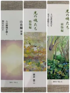 2026年最新】光の魂たち_動物編の人気アイテム - メルカリ