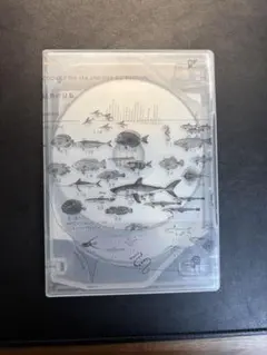 2026年最新】サカナクション 魚大図鑑の人気アイテム - メルカリ