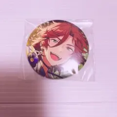 2026年最新】三毛縞斑缶バッジの人気アイテム - メルカリ