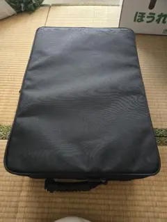 2026年最新】三味線ケースの人気アイテム - メルカリ