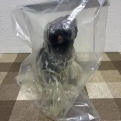 2026年最新】ヘドラ 解剖図解の人気アイテム - メルカリ