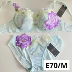 2026年最新】サルート日本の花嫁の人気アイテム - メルカリ