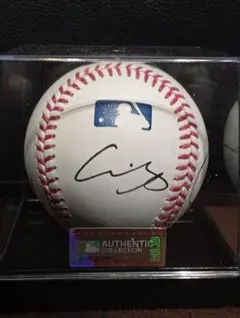 2026年最新】大谷翔平 直筆 ボールの人気アイテム - メルカリ