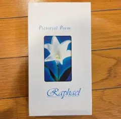 2026年最新】raphael 日本武道館の人気アイテム - メルカリ