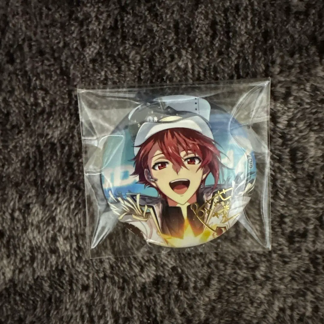 2026年最新】七瀬陸 缶バッジ expoの人気アイテム - メルカリ