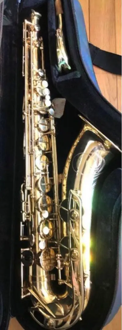 2026年最新】サックス nikkanの人気アイテム - メルカリ