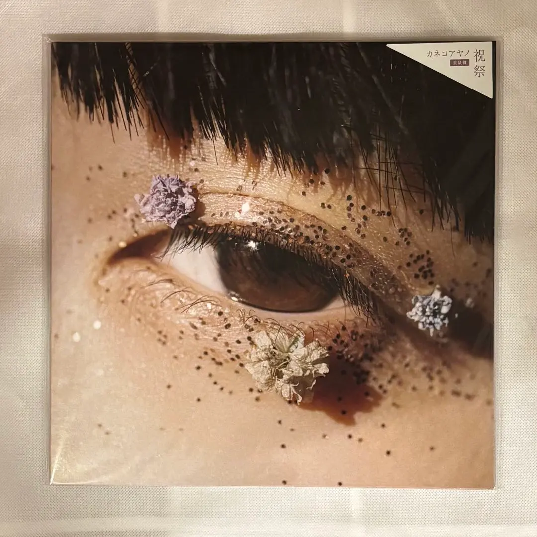 2026年最新】カネコアヤノ 野音 レコードの人気アイテム - メルカリ