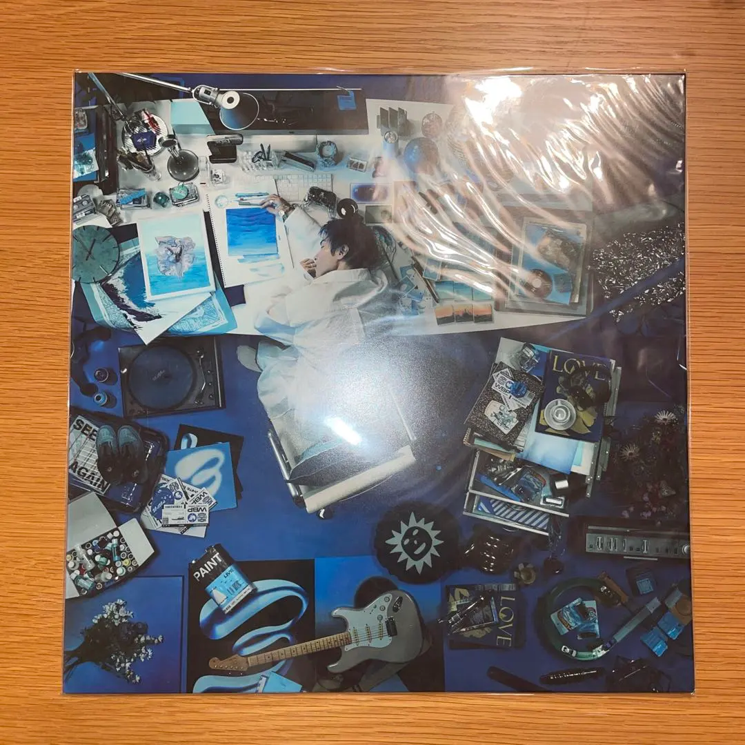 2026年最新】skaai レコードの人気アイテム - メルカリ