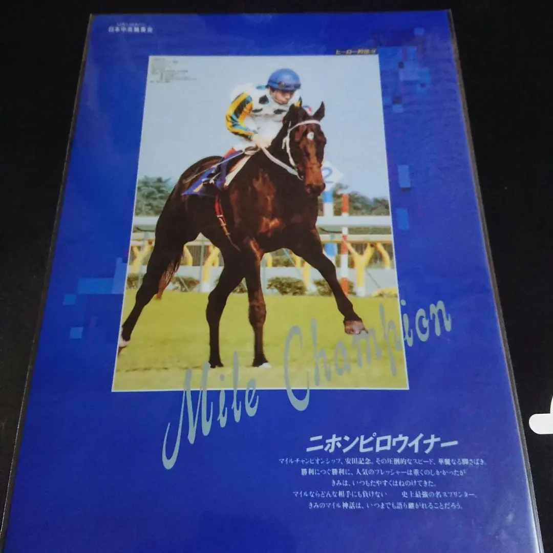 2026年最新】ニホンピロウイナーの人気アイテム - メルカリ