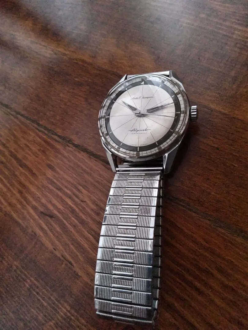 2026年最新】腕時計 セイコー チャンピオン アルピニストの人気