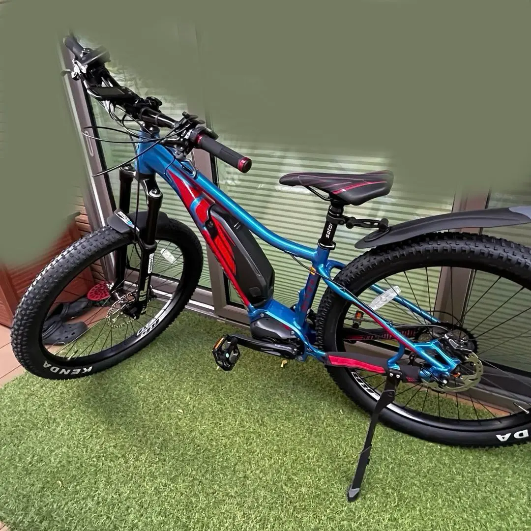 2026年最新】MIYATA RIDGE RUNNERの人気アイテム - メルカリ