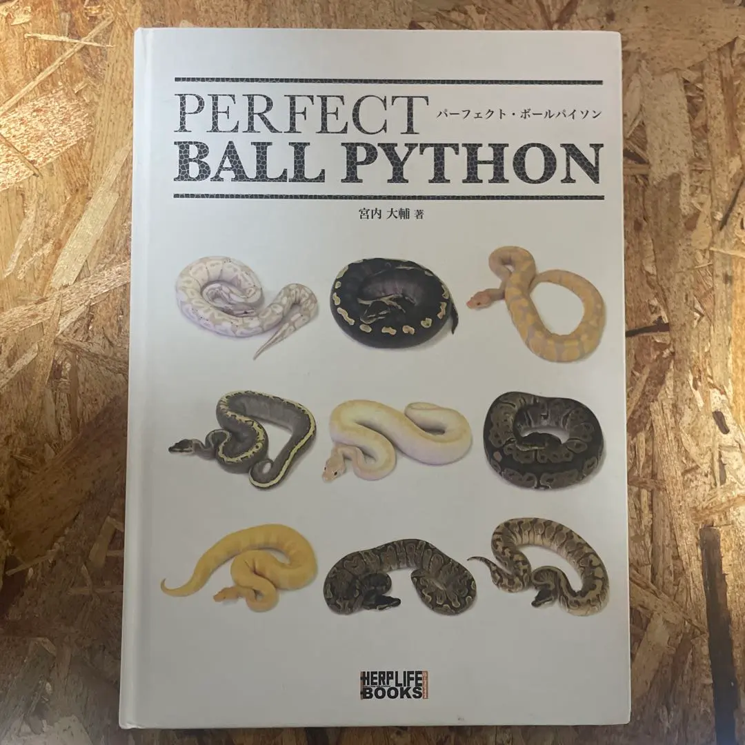 2026年最新】ボールパイソン 本の人気アイテム - メルカリ
