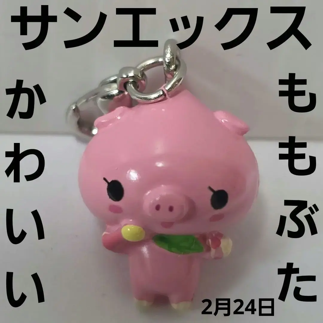 2026年最新】ももぶたの人気アイテム - メルカリ