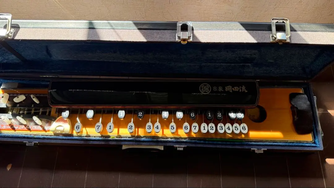 2026年最新】岡田流大正琴の人気アイテム - メルカリ