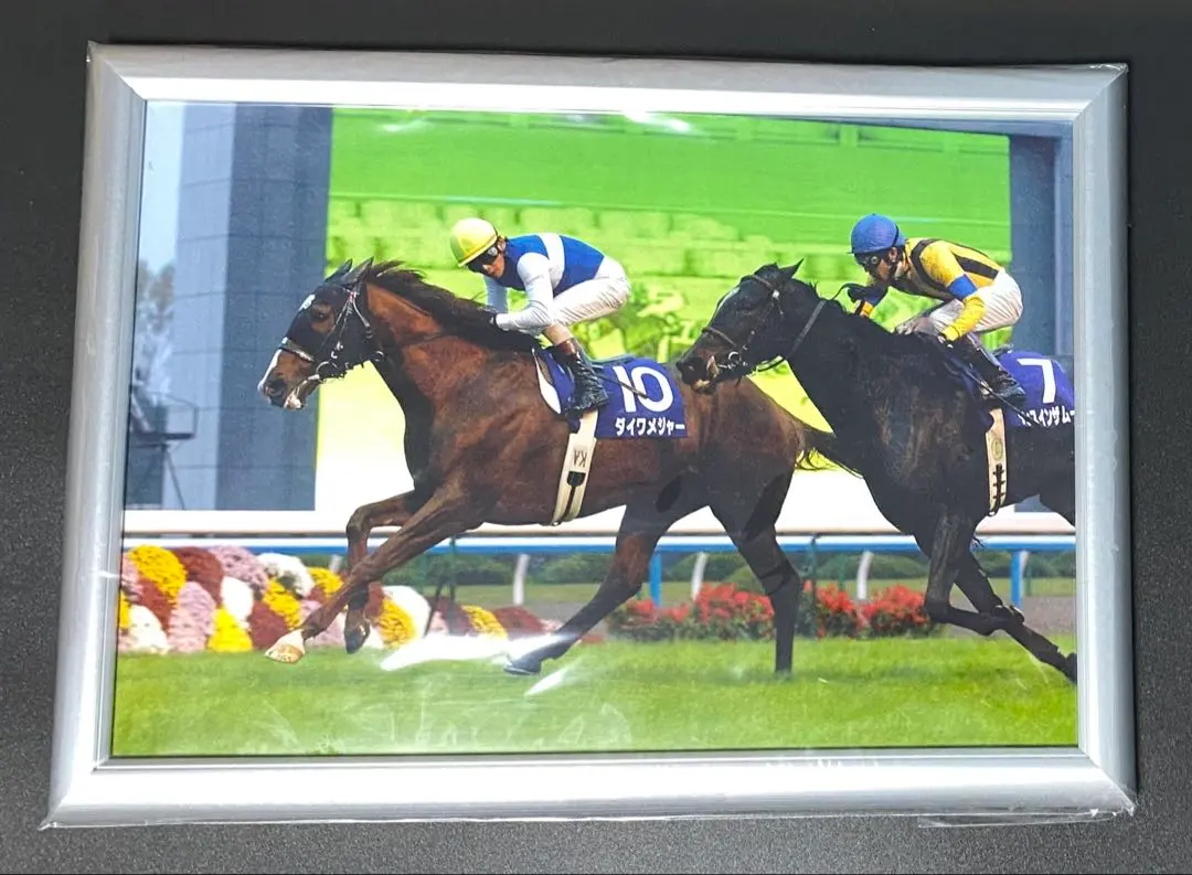 2026年最新】武豊 パネルの人気アイテム - メルカリ