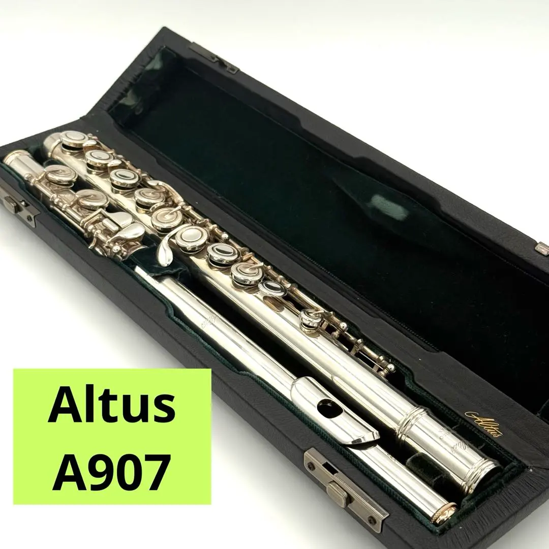 2026年最新】altus a907の人気アイテム - メルカリ