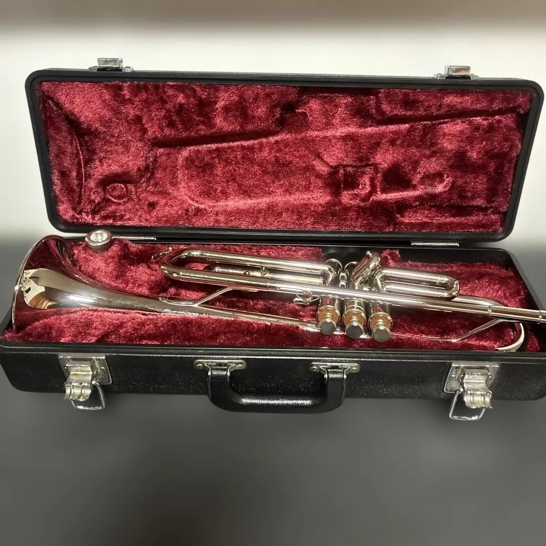 2026年最新】YAMAHA YTR1310の人気アイテム - メルカリ