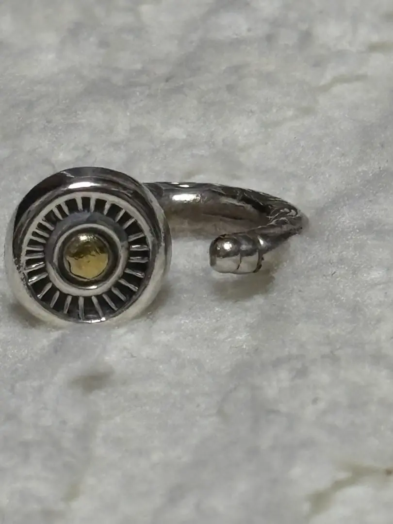 2026年最新】あるじゃん 祐天寺 ピアスの人気アイテム - メルカリ