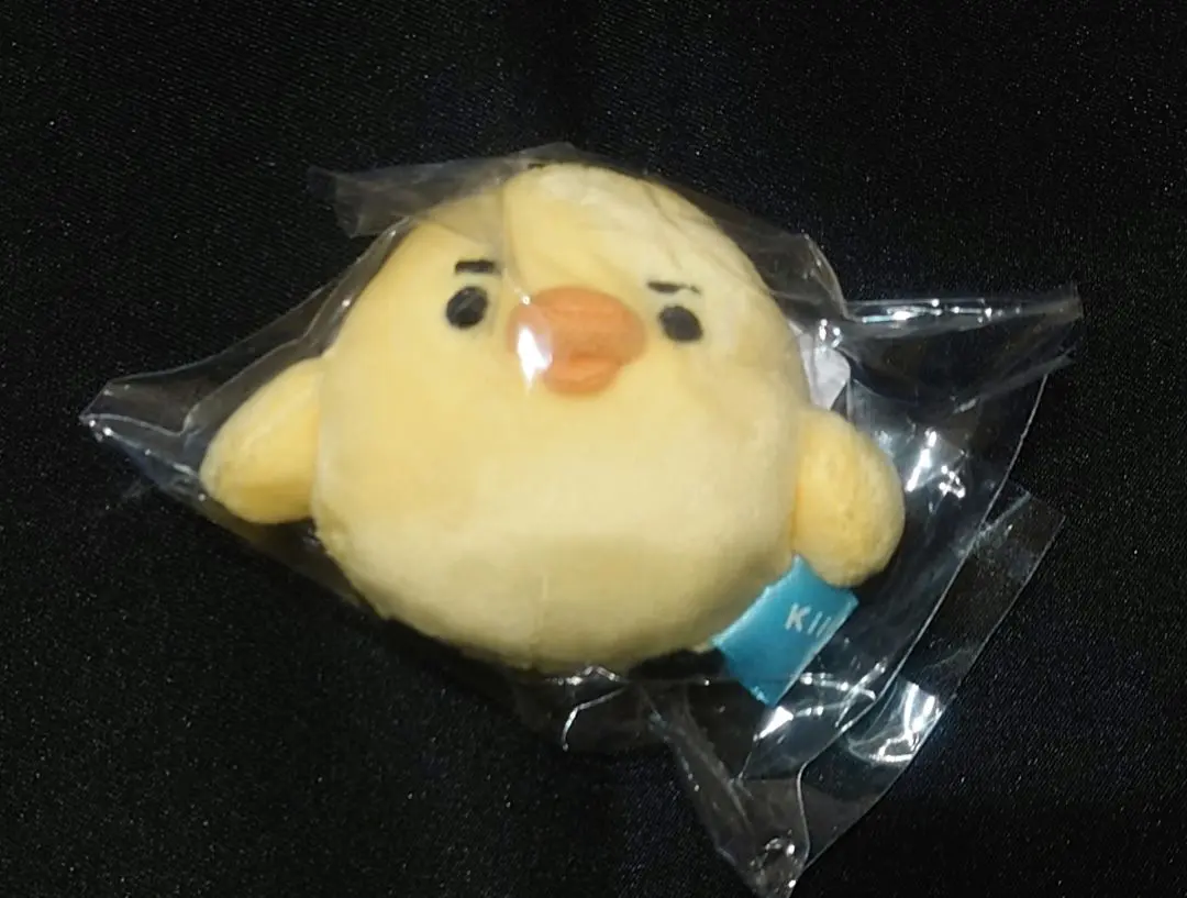 2026年最新】キイロイトリ まゆげの人気アイテム - メルカリ