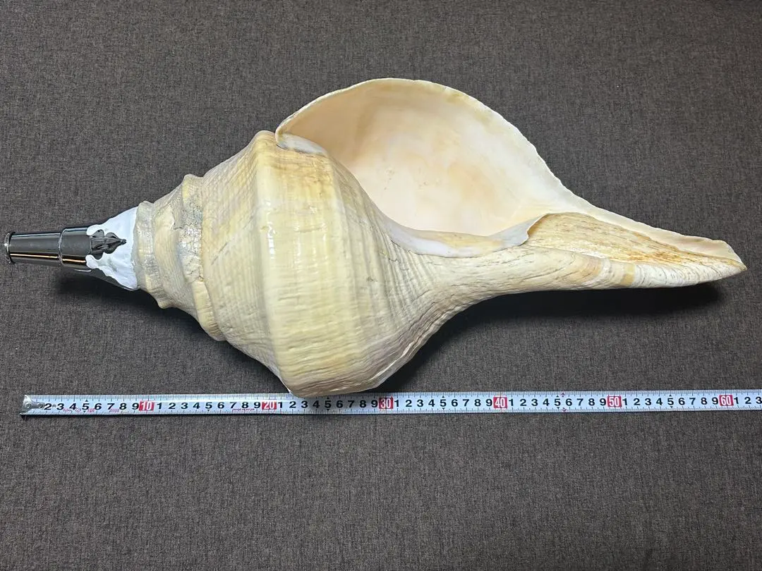 2026年最新】アラフラオオニシの人気アイテム - メルカリ