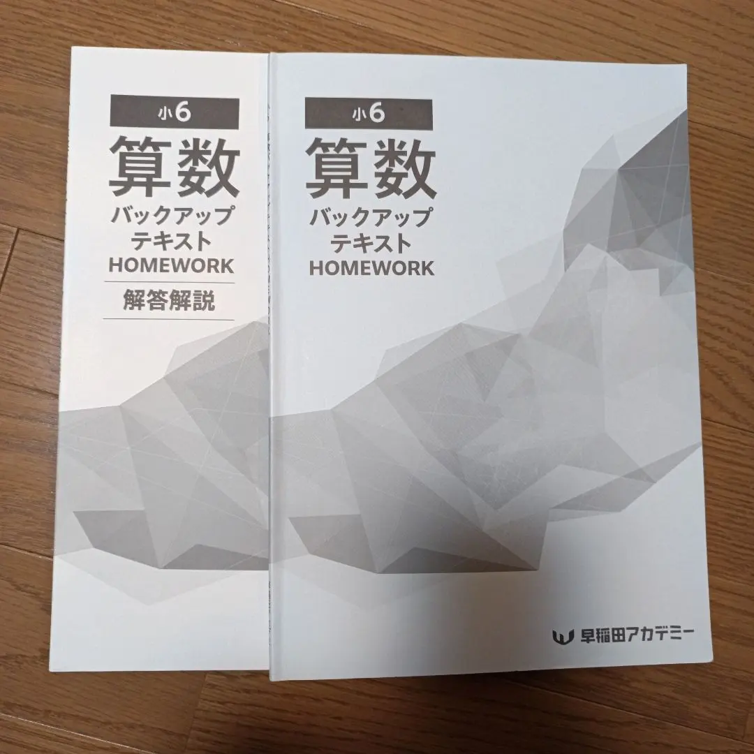 2026年最新】早稲田アカデミー 小6 バックアップテキストの人気