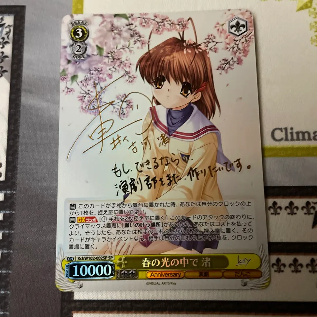 BGS 9.5 ゴールドラベル】春の光の中で 渚 SP サイン bg478