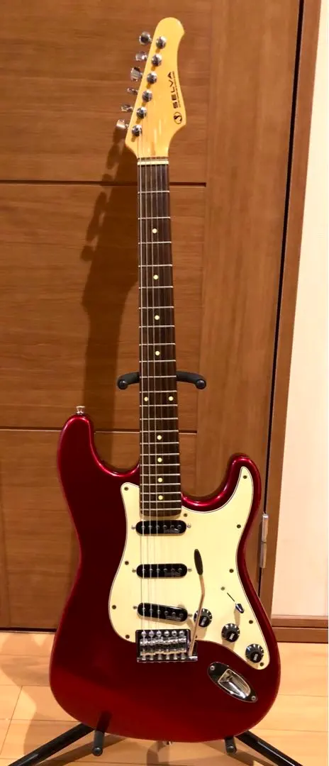 2026年最新】selva ギターの人気アイテム - メルカリ