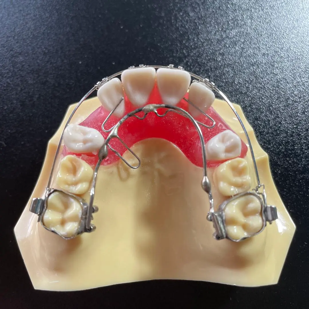 2026年最新】顎模型 ニッシンの人気アイテム - メルカリ