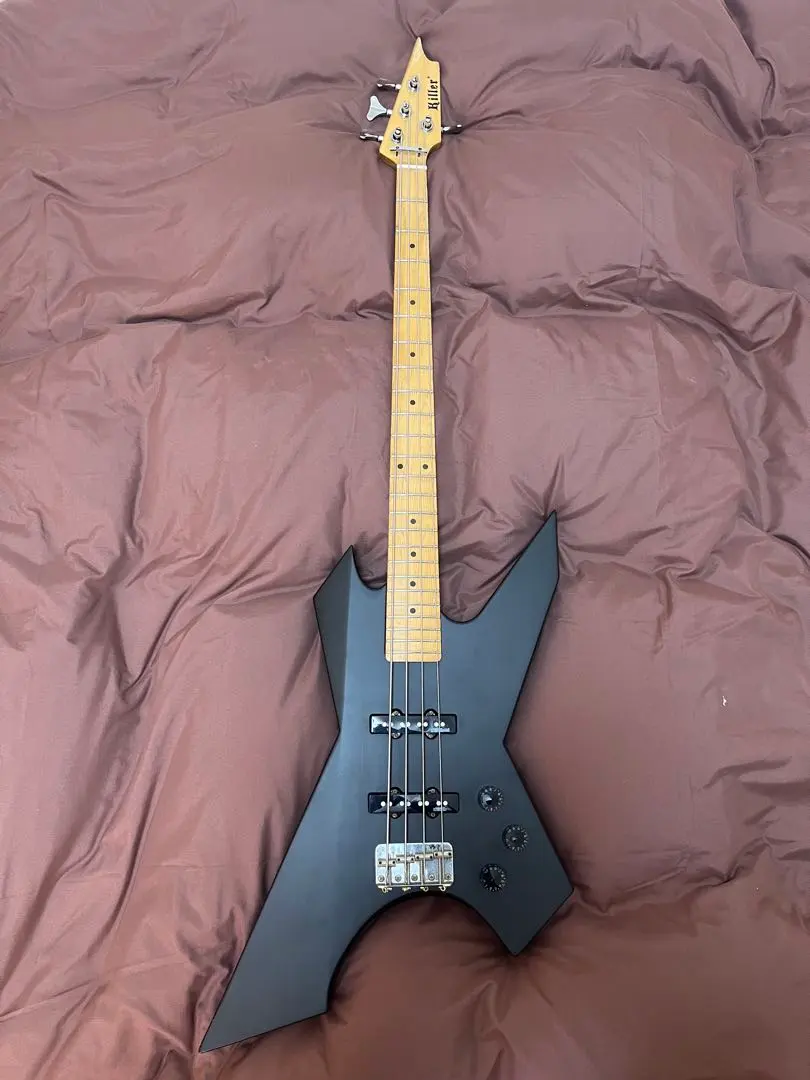 2026年最新】抜け殻 ギターの人気アイテム - メルカリ