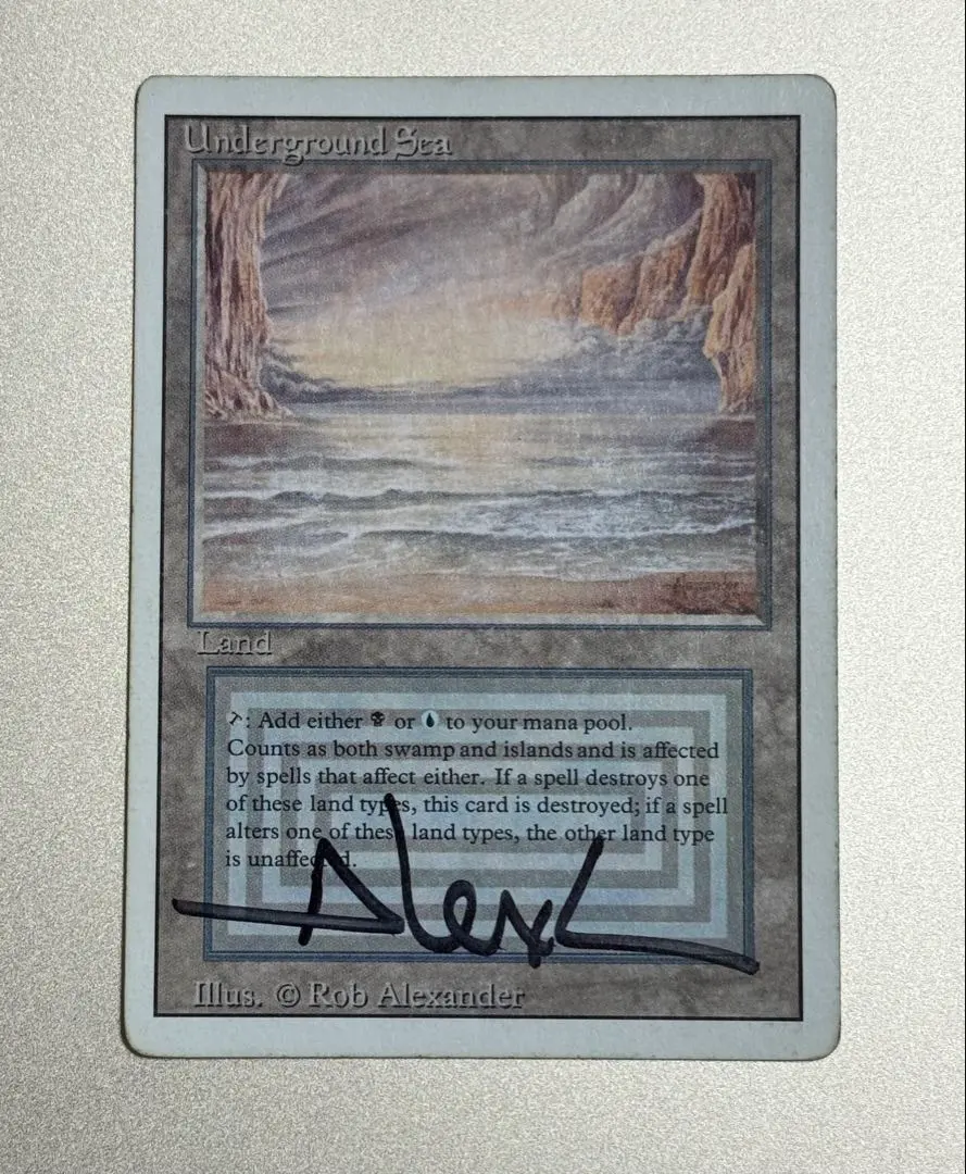 m72195112816_1.jpg?1769344072