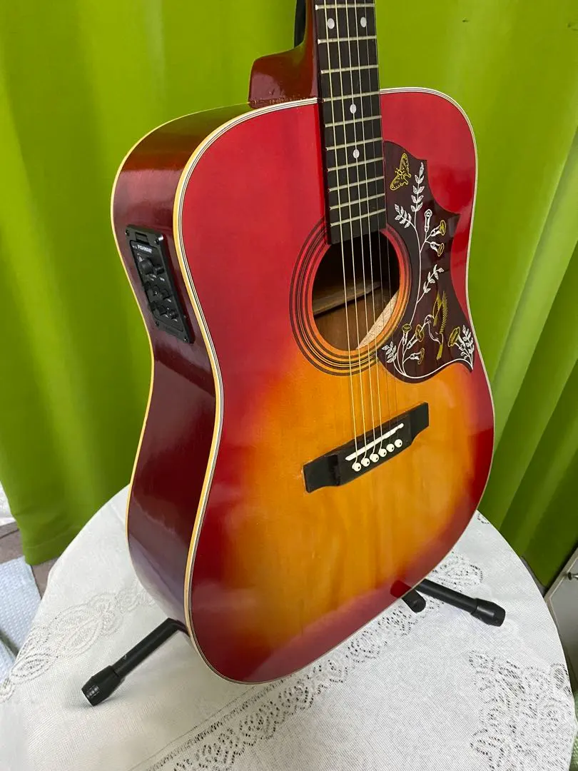 2026年最新】ハミングバード ピックガードの人気アイテム - メルカリ