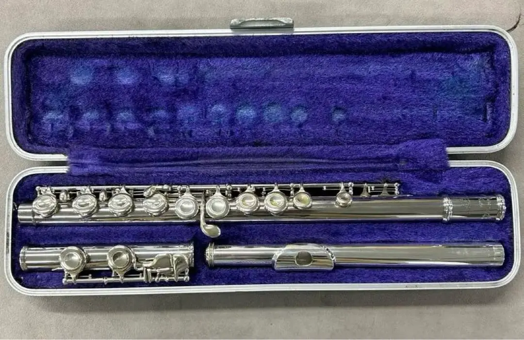 2026年最新】ムラマツ フルート m-85の人気アイテム - メルカリ