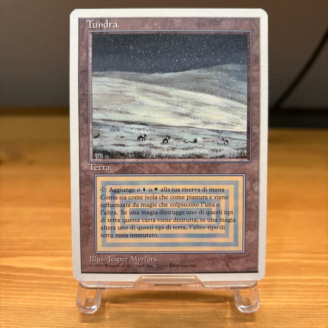 2026年最新】tundra mtgの人気アイテム - メルカリ