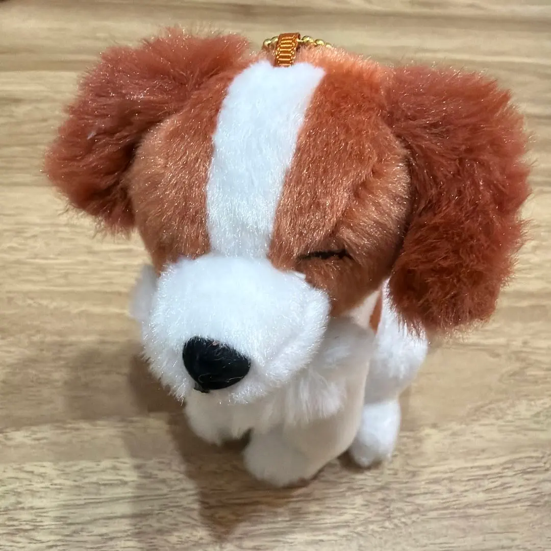 2026年最新】コーイケルホンディエのおでこちゃんの人気アイテム