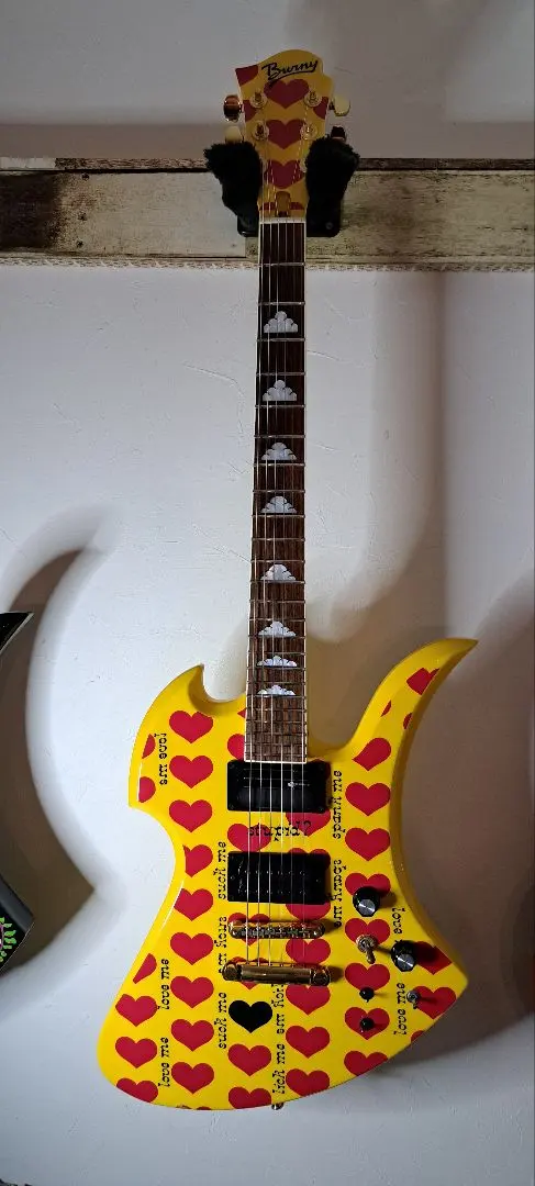 2026年最新】fernandes mg ハードケースの人気アイテム - メルカリ